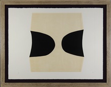 Immagine Bianchi e neri I plate C